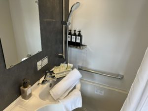 サルーン(ペット可)