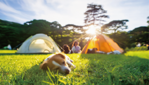 サルーン(ペット可)